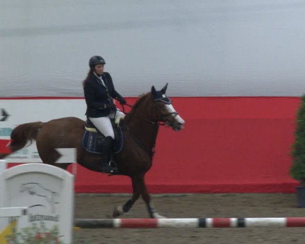 Reitturnier Salzkotten 2019