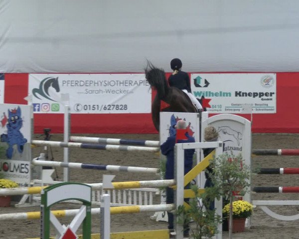 Reitturnier Salzkotten 2019