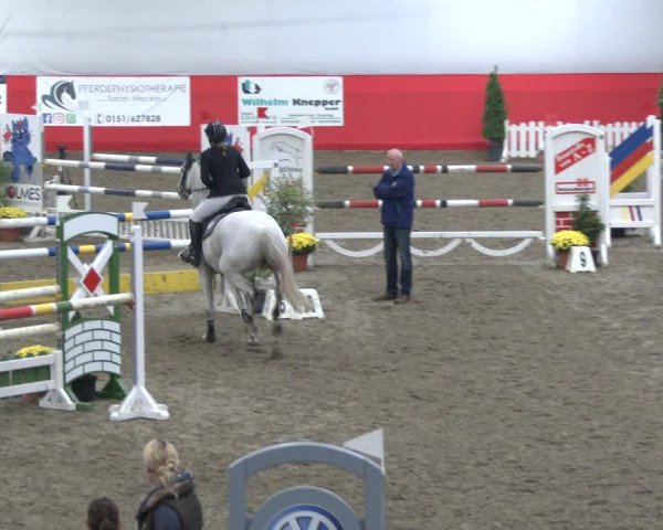Reitturnier Salzkotten 2019
