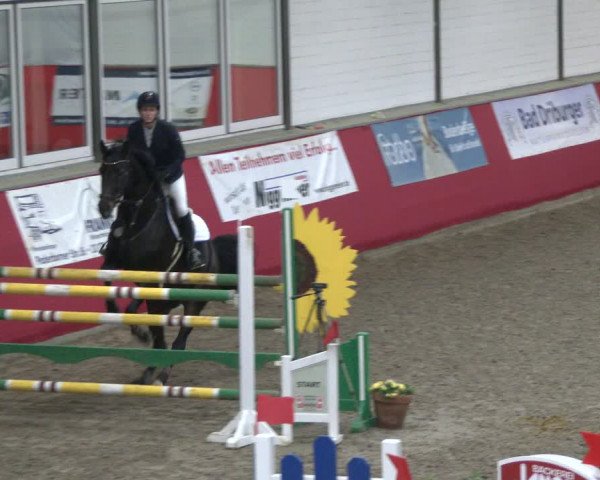 Reitturnier Salzkotten 2019