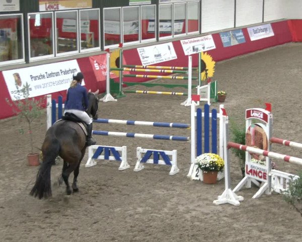 Reitturnier Salzkotten 2019
