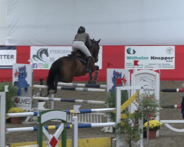 Reitturnier Salzkotten 2019