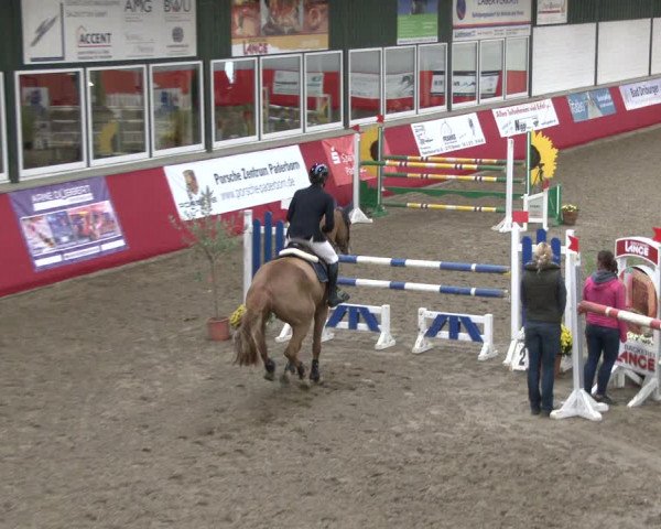 Reitturnier Salzkotten 2019