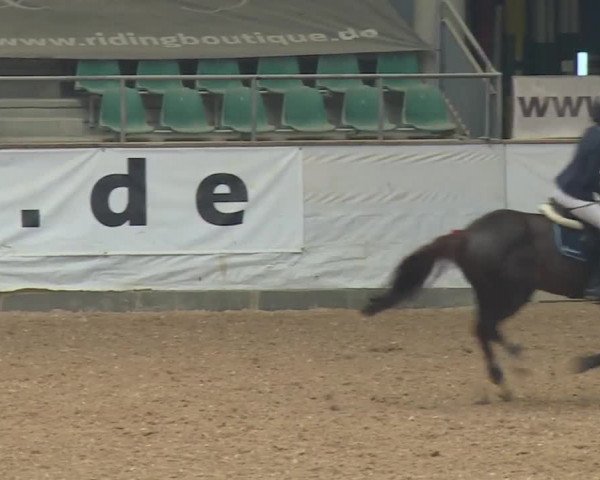 Reitturnier Kreuth/Opf. 2019