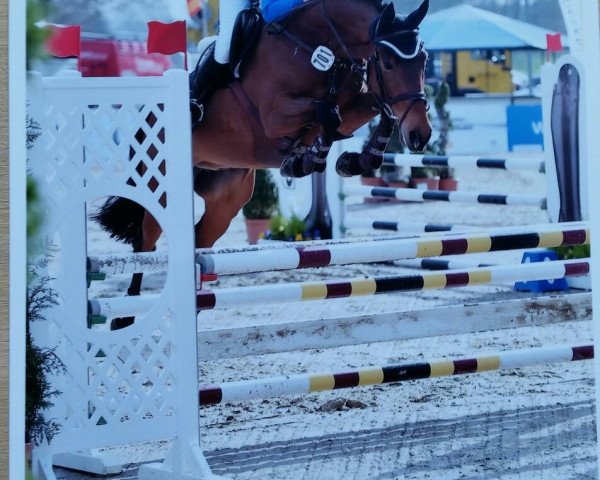 jumper Laszlo 86 (Württemberger, 2011, from Leviathan)