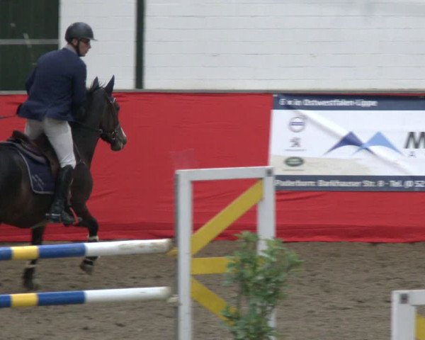 Reitturnier Salzkotten 2019
