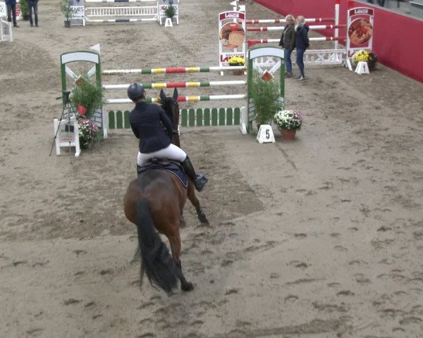 Reitturnier Salzkotten 2019