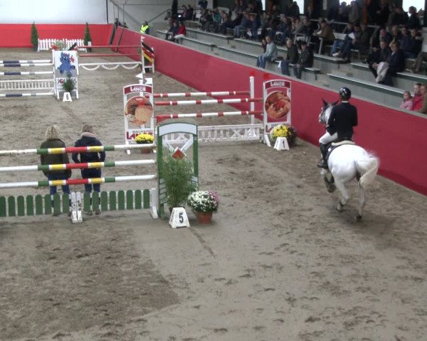 Reitturnier Salzkotten 2019