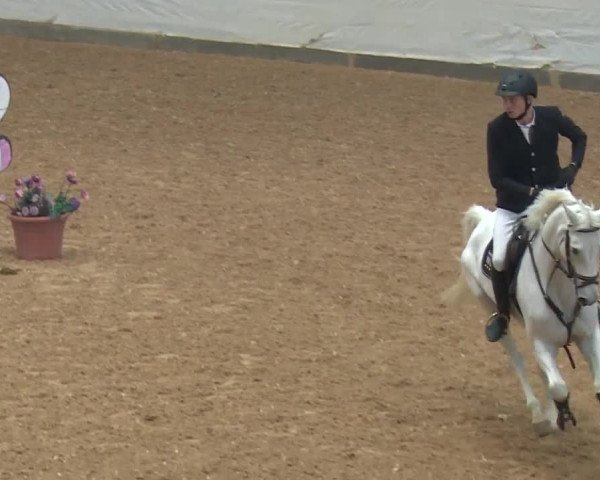 Reitturnier Kreuth/Opf. 2019