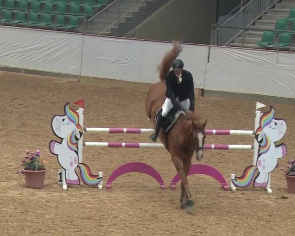 Reitturnier Kreuth/Opf. 2019