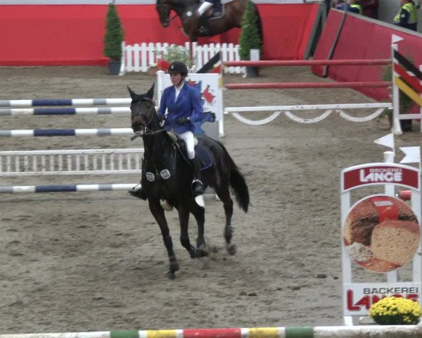 Reitturnier Salzkotten 2019
