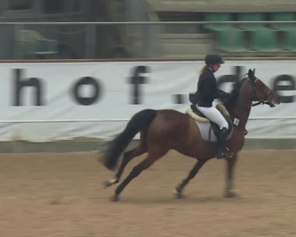 Reitturnier Kreuth/Opf. 2019