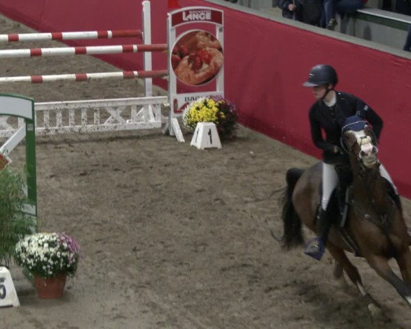 Reitturnier Salzkotten 2019