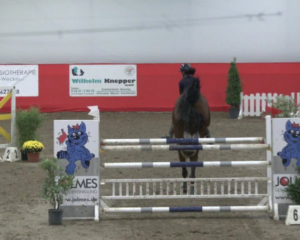 Reitturnier Salzkotten 2019