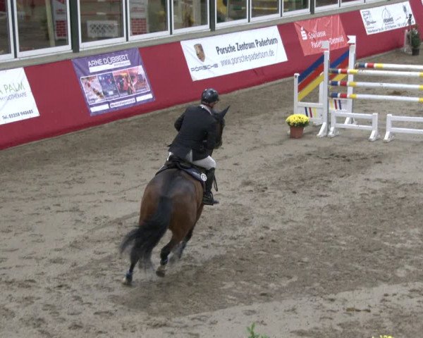 Reitturnier Salzkotten 2019
