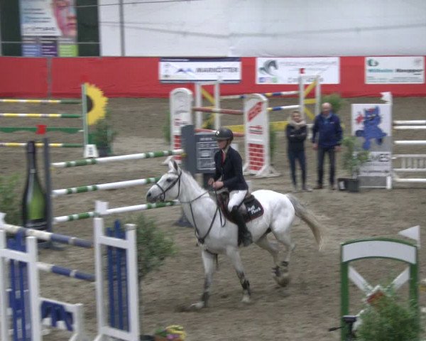 Reitturnier Salzkotten 2019