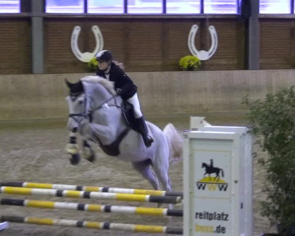 Reitturnier Köln-Leverkusen 2019