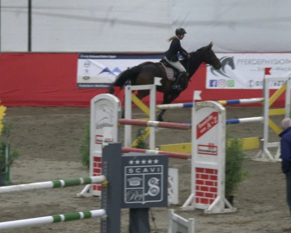 Reitturnier Salzkotten 2019
