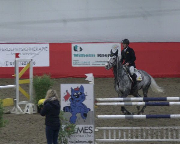 Reitturnier Salzkotten 2019
