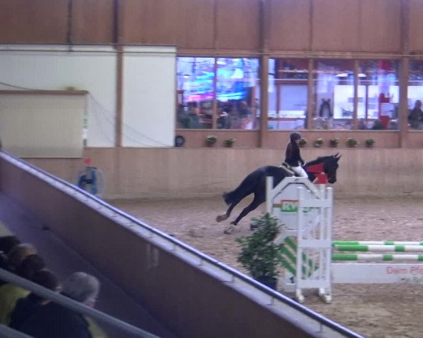 Reitturnier Köln-Leverkusen 2019