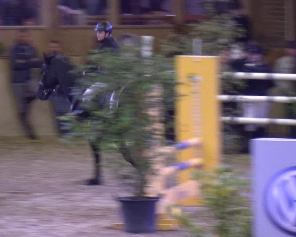 Reitturnier Köln-Leverkusen 2019