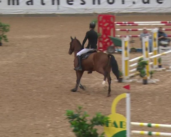 Reitturnier Kreuth/Opf. 2019