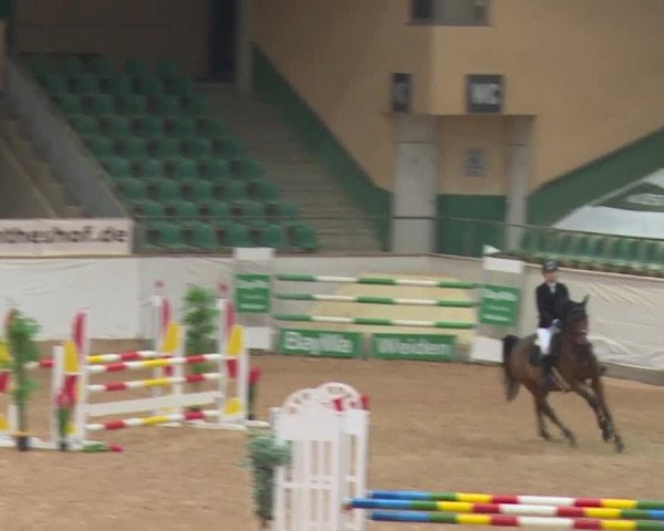 Reitturnier Kreuth/Opf. 2019