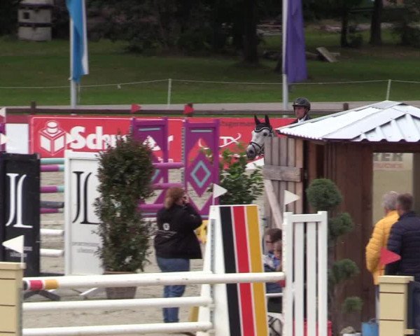 Reitturnier Westergellersen 2021