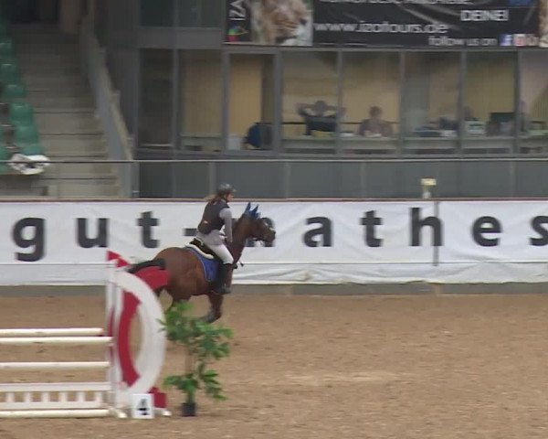 Reitturnier Kreuth/Opf. 2019