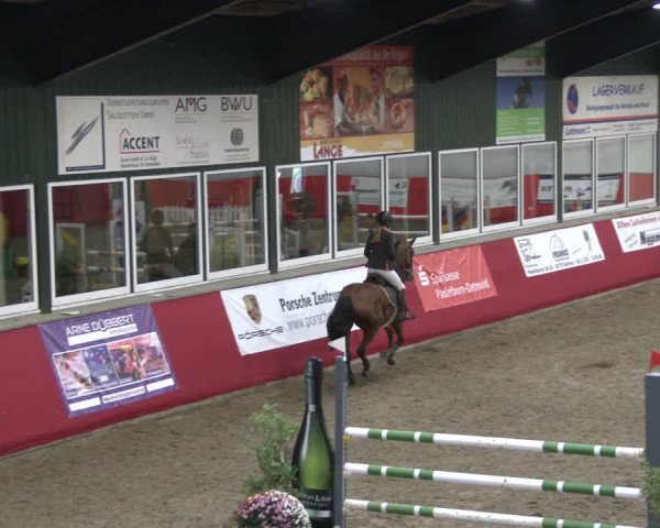 Reitturnier Salzkotten 2019