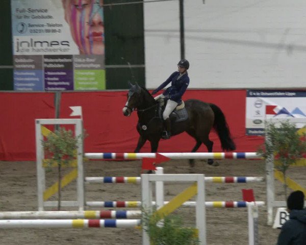Reitturnier Salzkotten 2019