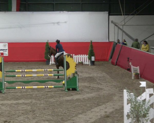 Reitturnier Salzkotten 2019