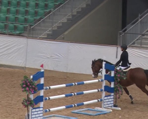 Reitturnier Kreuth/Opf. 2019