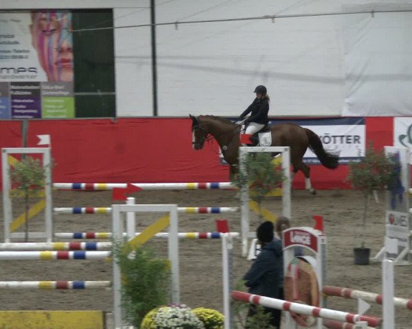 Reitturnier Salzkotten 2019