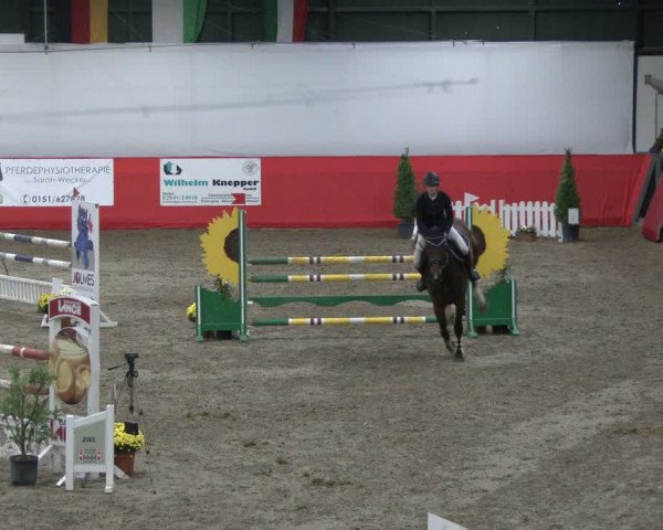 Reitturnier Salzkotten 2019