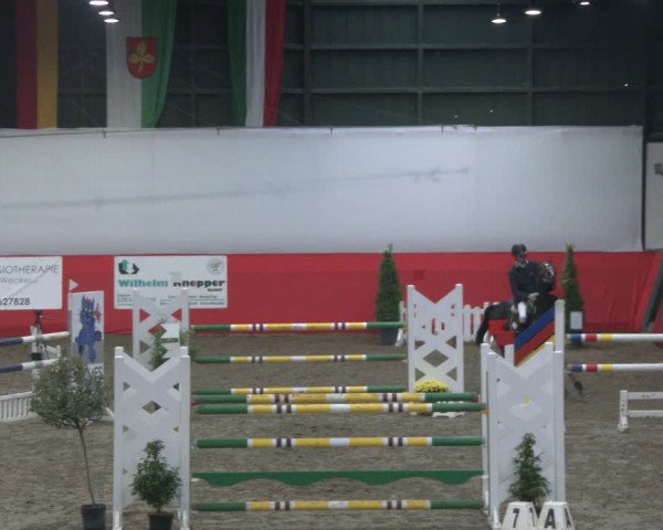 Reitturnier Salzkotten 2019