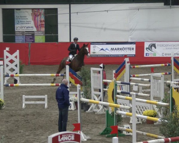 Reitturnier Salzkotten 2019