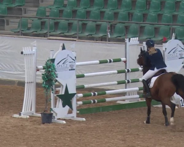 Reitturnier Kreuth/Opf. 2019