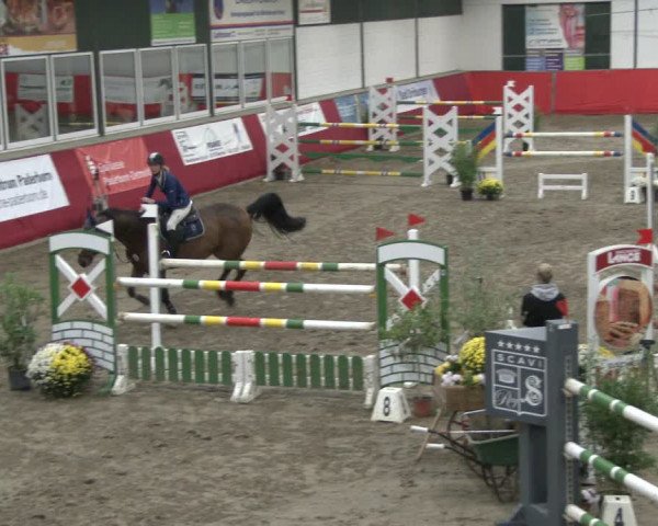 Reitturnier Salzkotten 2019