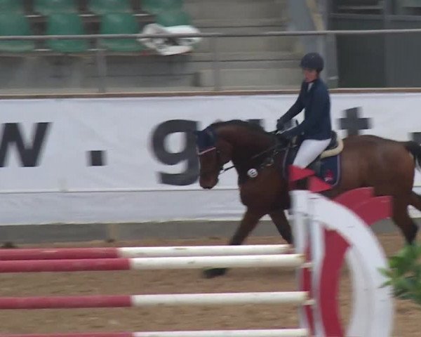 Reitturnier Kreuth/Opf. 2019