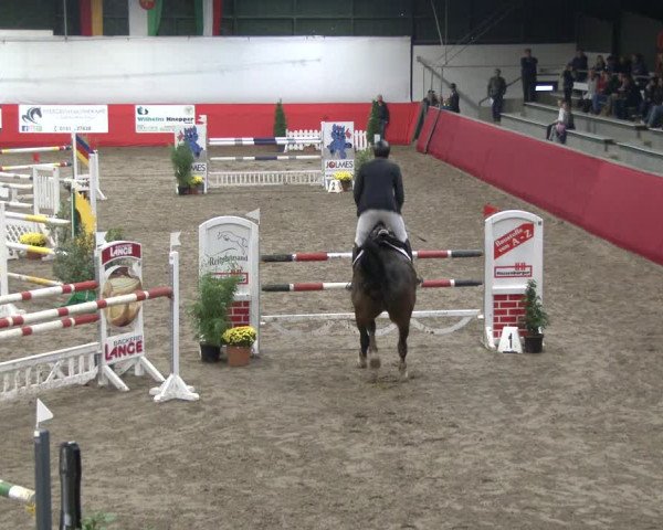 Reitturnier Salzkotten 2019
