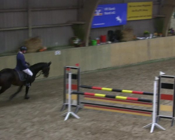 Reitturnier Sörup 2019