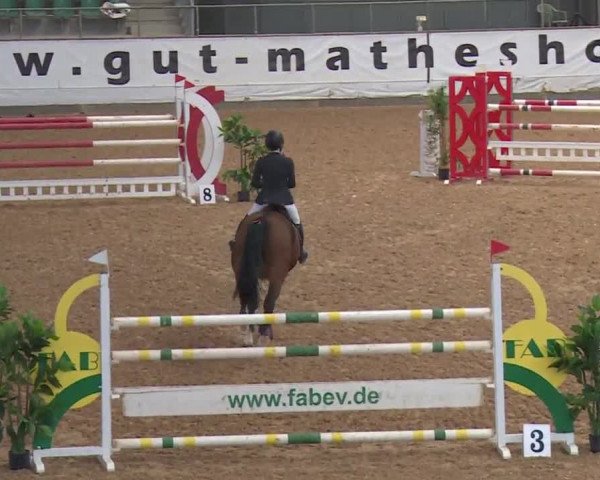 Reitturnier Kreuth/Opf. 2019