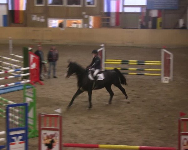 Reitturnier Sörup 2019