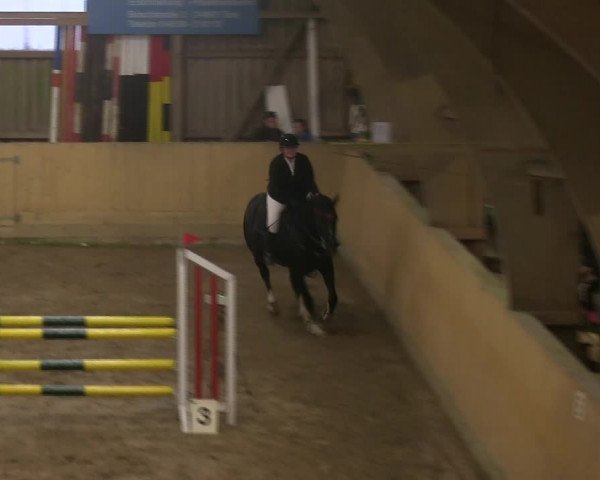 Reitturnier Sörup 2019