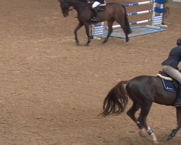 Reitturnier Kreuth/Opf. 2019