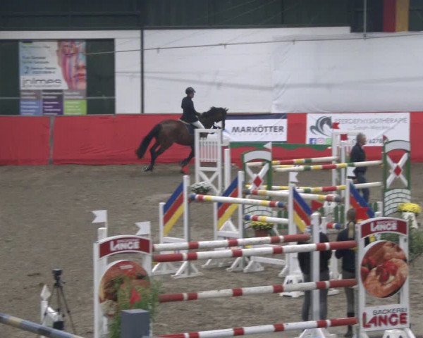 Reitturnier Salzkotten 2019