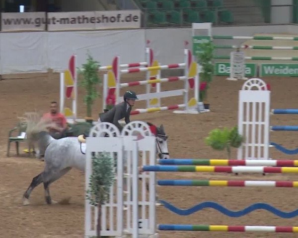 Reitturnier Kreuth/Opf. 2019