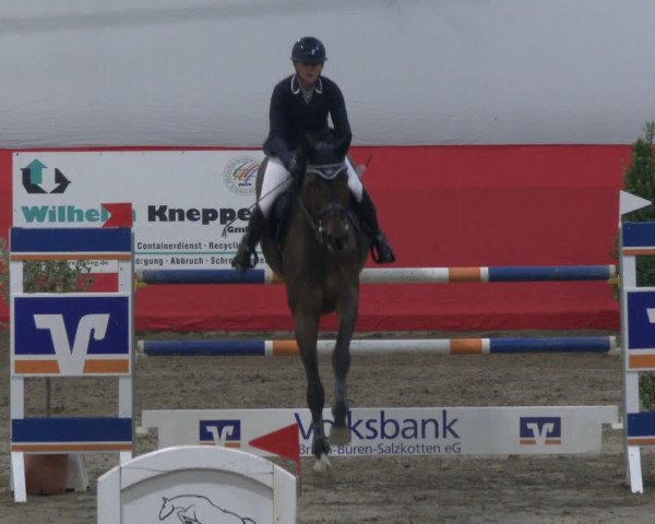 Reitturnier Salzkotten 2019