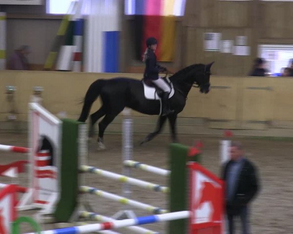Reitturnier Sörup 2019